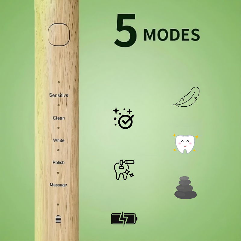 Brosse a dent electrique en bamboo 5 modes