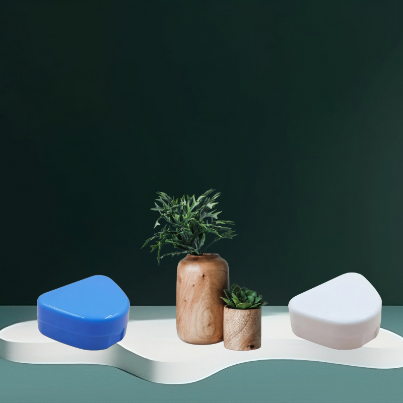 Boîte de rangement portable pour prothèses dentaires